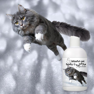 coat enhancing cat shampoo