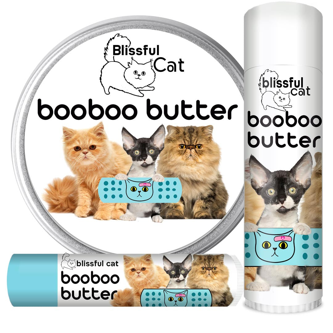 blissful cat boo boo butter