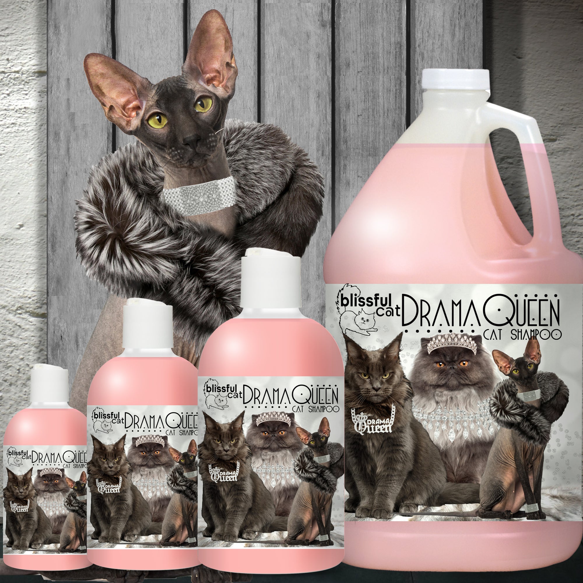 drama queen cat shampoo