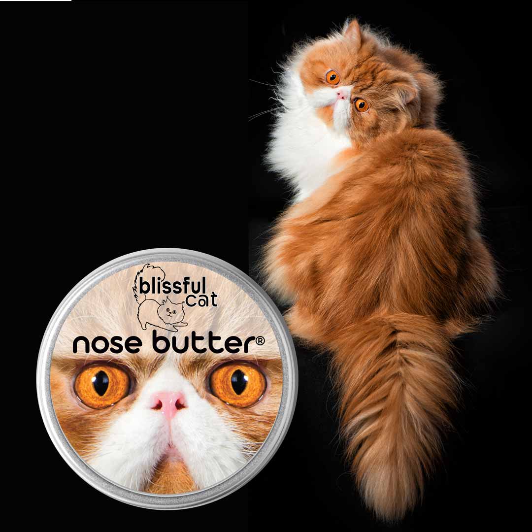 cat nose butter