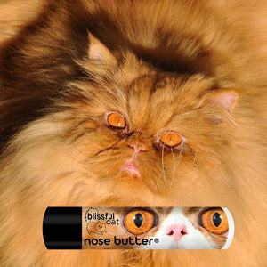 cat nose butter moisturizer
