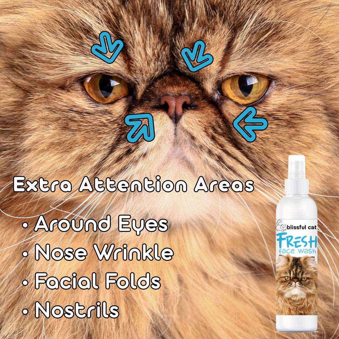 Fresh Face Wash for Cats