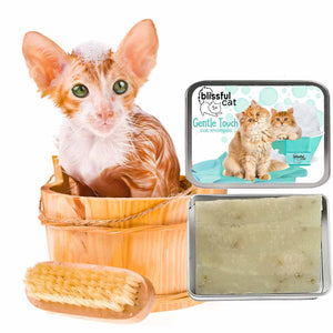 gentle touch cat soap