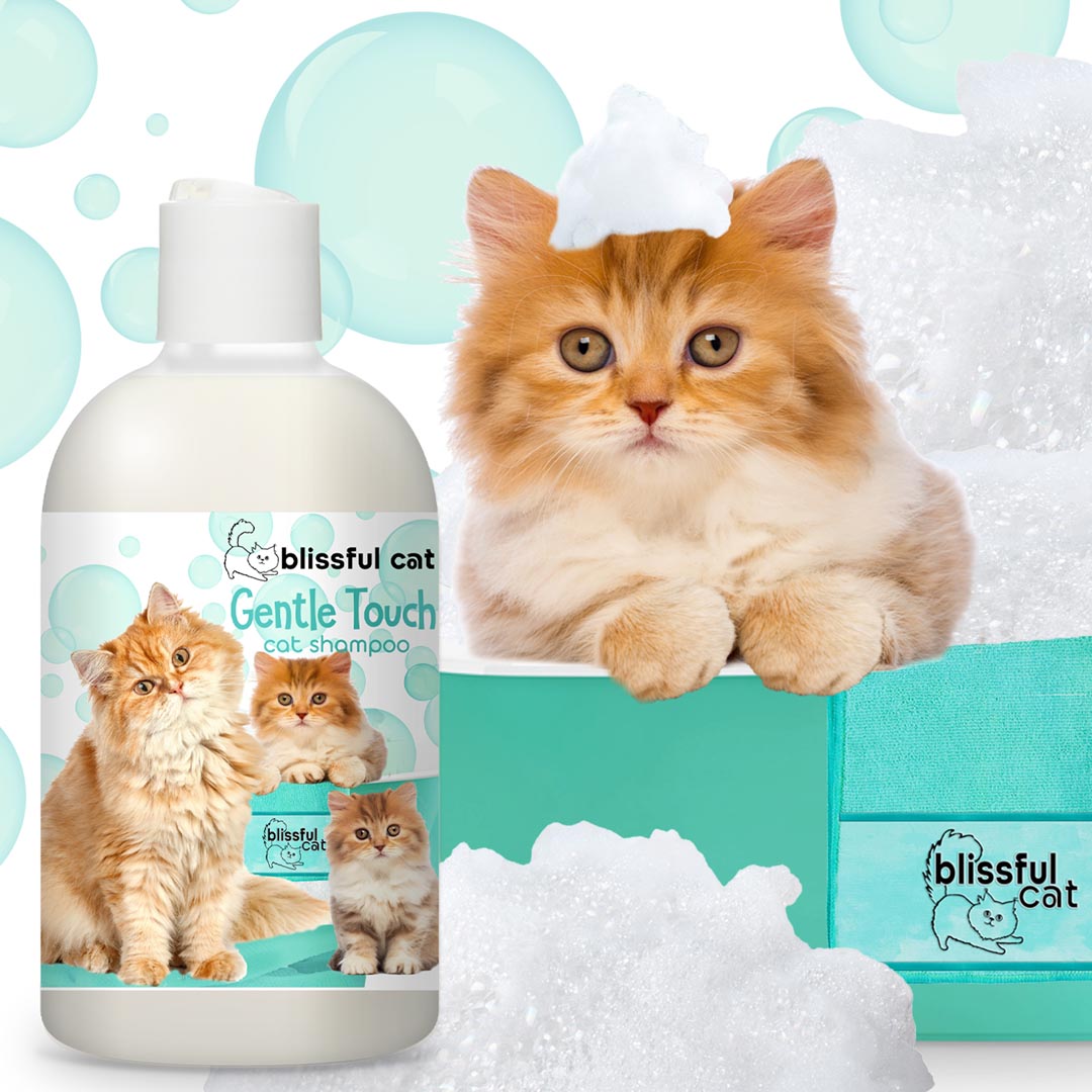 gentle touch cat shampoo