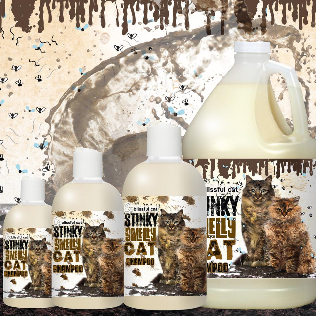Dirty Smelly Cat Shampoo